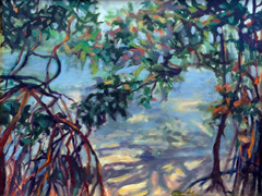 Mangroves at Gumbo Limbo