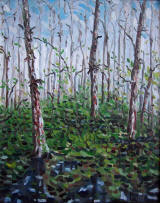 Cypress Swamp at Loxahatchee Wetlands