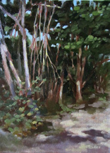 Gumbo Limbo by Ted Matz