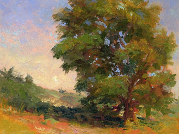 Key West Tree by Sheila Wolff