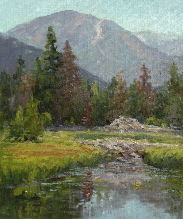 Beaver Dam by Sheila Wolff